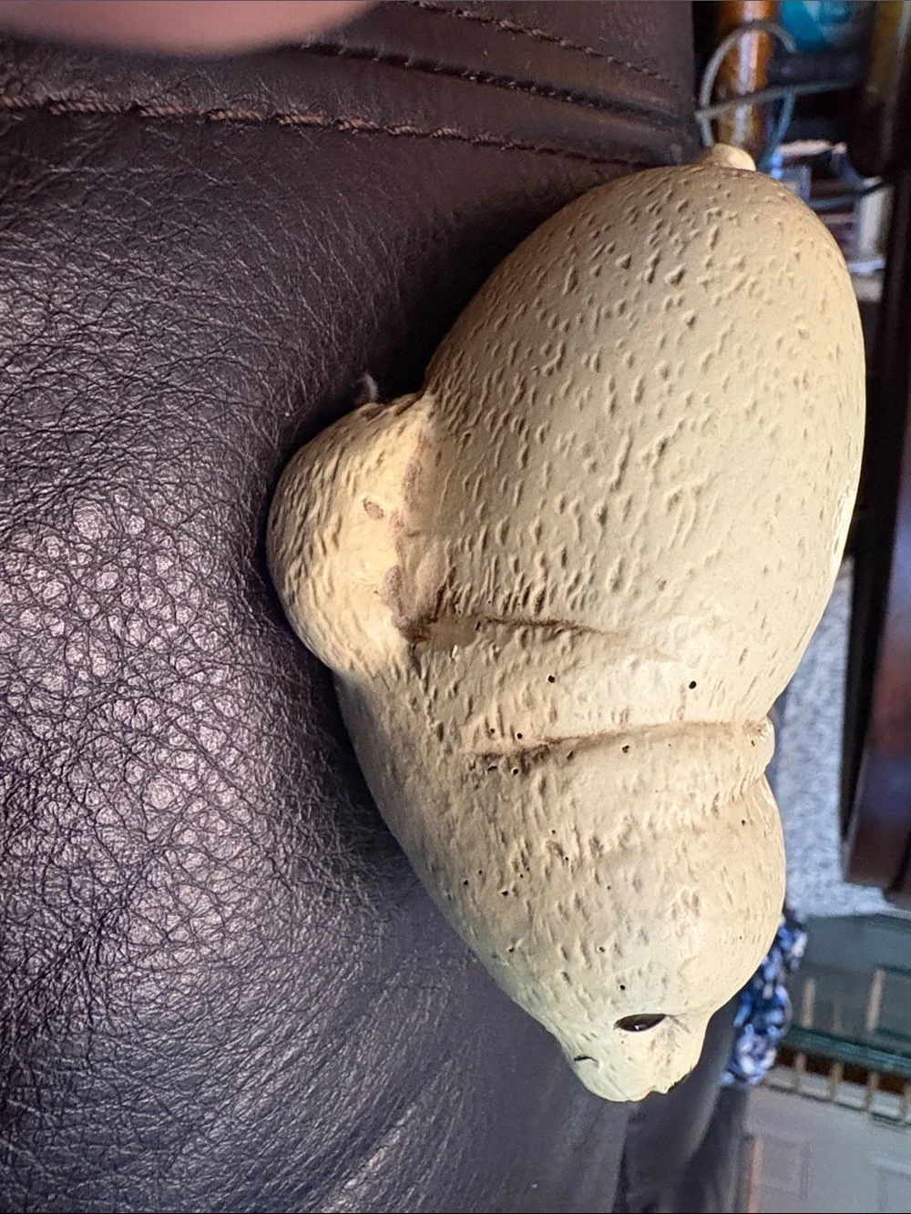 Beige Seal Homco ? Vintage Seal Figurine Home Interior?? Resin?? Homco??